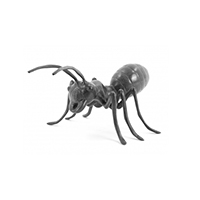 ant models