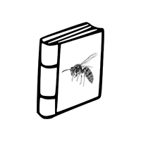 Insekten