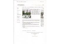Tagesspiegel - Ameisen als Haustiere Vetcontact