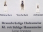 Preview: Schaukasten: holzzerstörende Ameisen