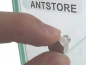 Preview: Alpha Ants Mini Scheibenmagnet - rund