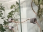 Preview: formicarium threaded bush for 50mm bore - grey