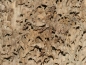 Preview: Lasius brunneus (Braune Holzameise)