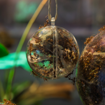 Nestkugel PS 5 cm klar