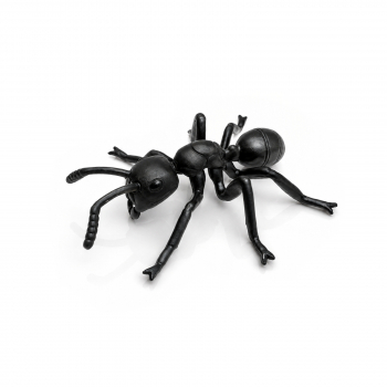 Ameisenfigur Formica Arbeiterin - Kunststoffmodell schwarz