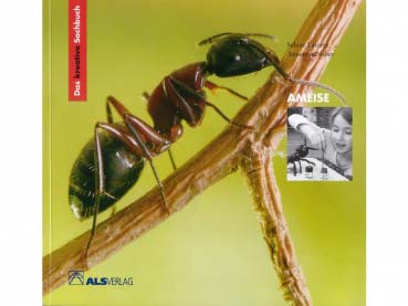 Buch: Ameise v. Sabine Latorre