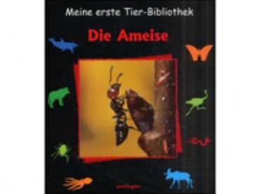Buch: Die Ameise