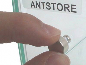 Alpha Ants Mini Scheibenmagnet - rund