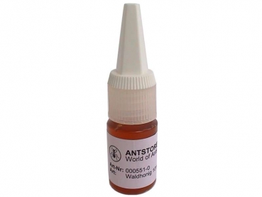Waldhonig (Wa) - Nachfüllpack 10ml