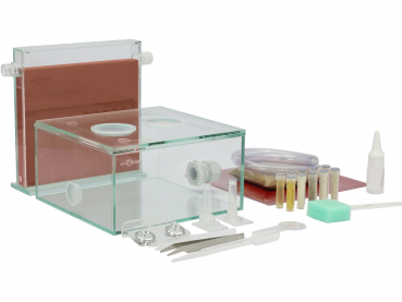 ANTCUBE Starter Kit L - 20x20 - Digfix - Terra nidum