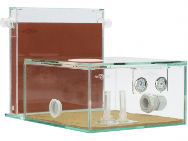 ANTCUBE Starter Kit L - 20x20 - Digfix - Terra nidum