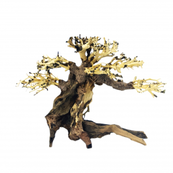 ANTSHOP Austria - Bonsai-Tree-Deko