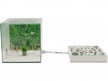 ANTCUBE - gypsum nest 30x30 - lying