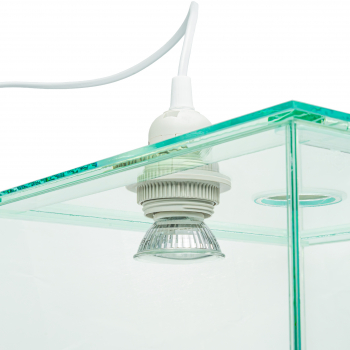 Ants Arena - lamp socket - E27