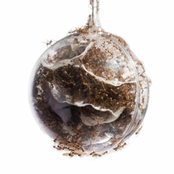 Nestkugel PS 5cm klar