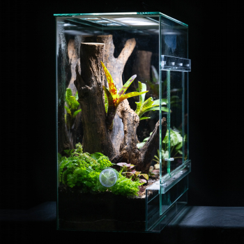 TERRACUBE 60x30x60 Terrarium mit Schiebetür