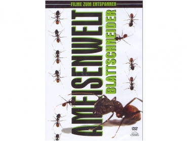 Ameisenwelt Blattschneider (DVD)