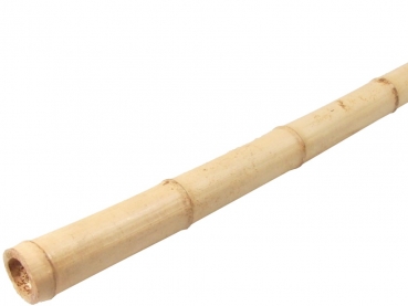 Bambusrohr gelb, natur (Moso gelb) 1-2x100cm