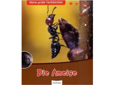 Buch: Die Ameise (Esslinger Verlag)
