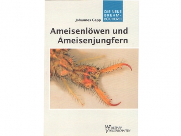 Buch: Ameisenlöwen und Ameisenjungfern