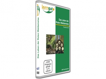 Das Leben der Roten Waldameise (DVD)