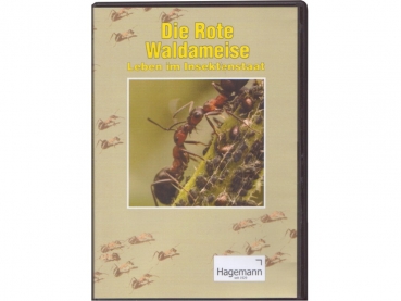 Lehrfilm: Die rote Waldameise - Leben im Insektenstaat (DVD)