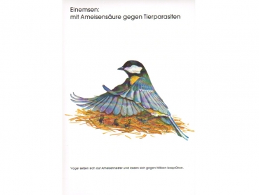 Poster: Einemsen - mit Ameisensäure gegen Tierparasiten