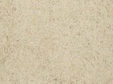 Sand 0-1mm gewaschen 1000g