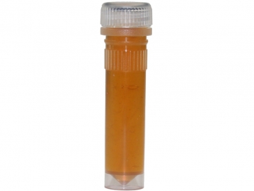 Forest honey in 2ml tubule - 10 pcs.