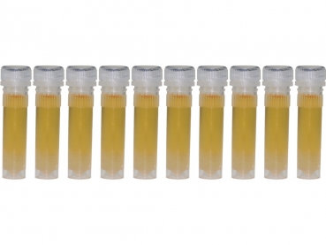 Wiesenhonig in 2ml Futterröhrchen - 10 St.