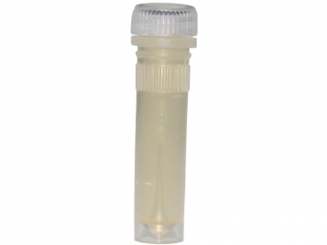 Wüstenhonig in 2ml Futterröhrchen - 10 St.