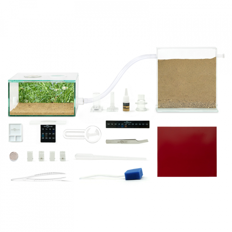 ANTCUBE Starter Set M - 20x20 - Wiese