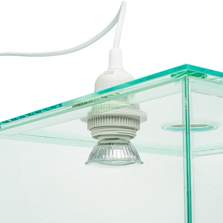 Ants Arena - lamp socket - E27