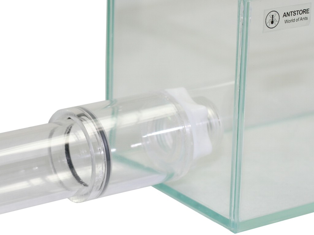 Becken-Rohrverbinder 3/4" zu 50mm - gerade - transparent