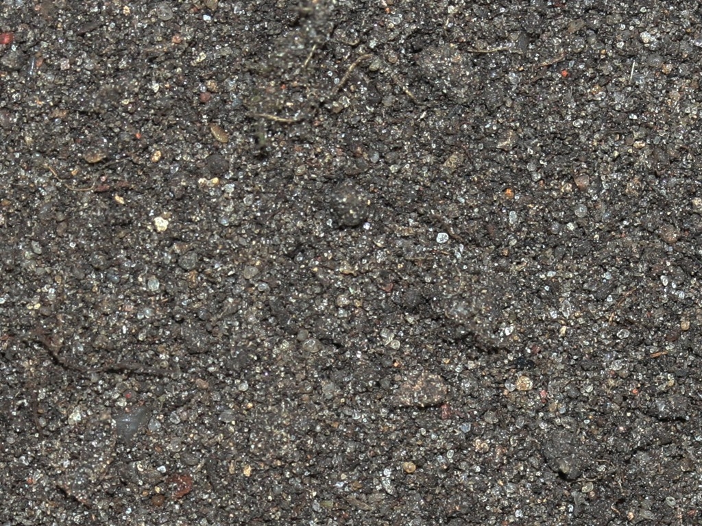 Ground - forest - 1 Kg