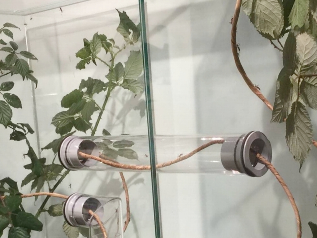formicarium threaded bush for 50mm bore - grey