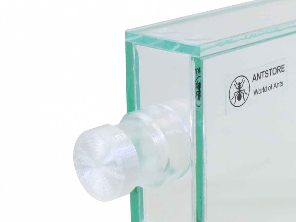 grid cap 16mm - transparent