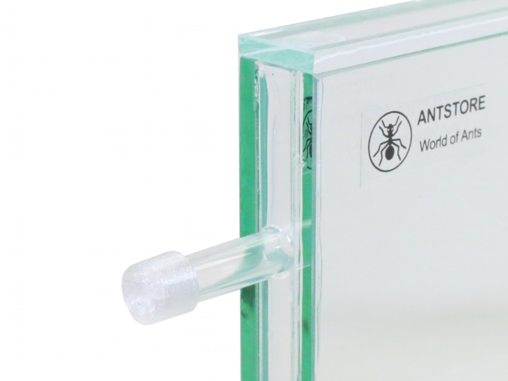 grid cap 6mm - transparent