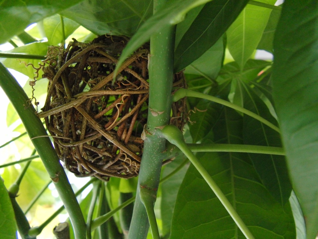 Nestkugel natur 10 cm - grob