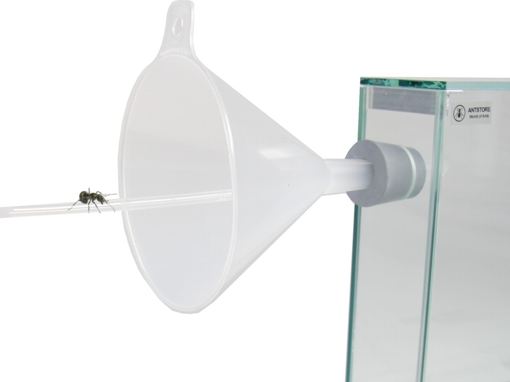 Plastiktrichter 100mm