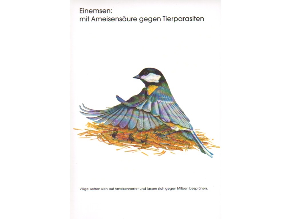 Poster: Einemsen - mit Ameisensäure gegen Tierparasiten