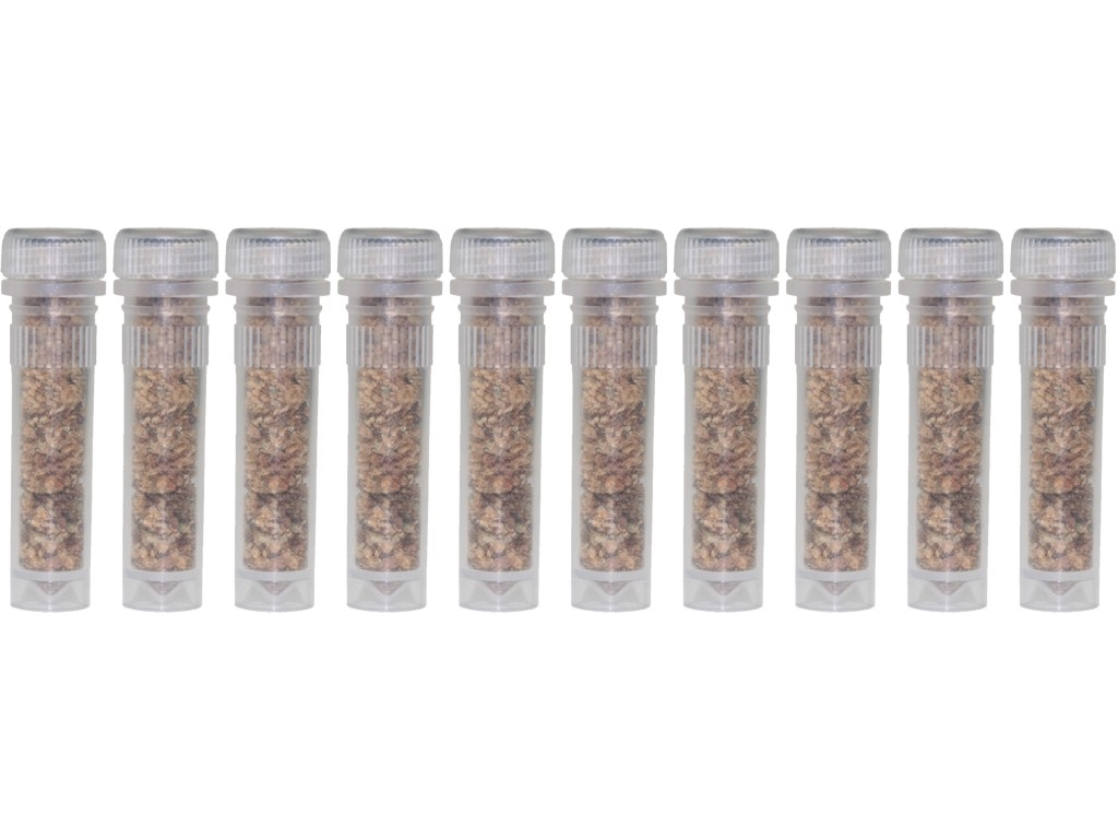 Proteinfutter FD Insekten in 2ml Futterröhrchen