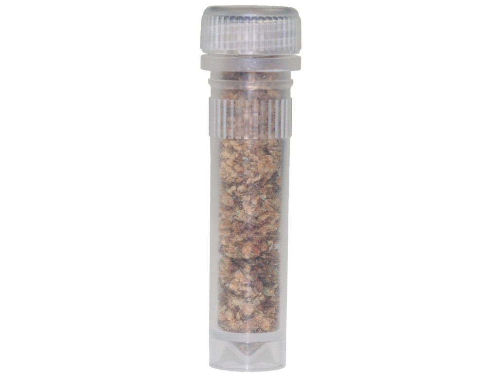 Proteinfutter FD Insekten in 2ml Futterröhrchen - 10 St.