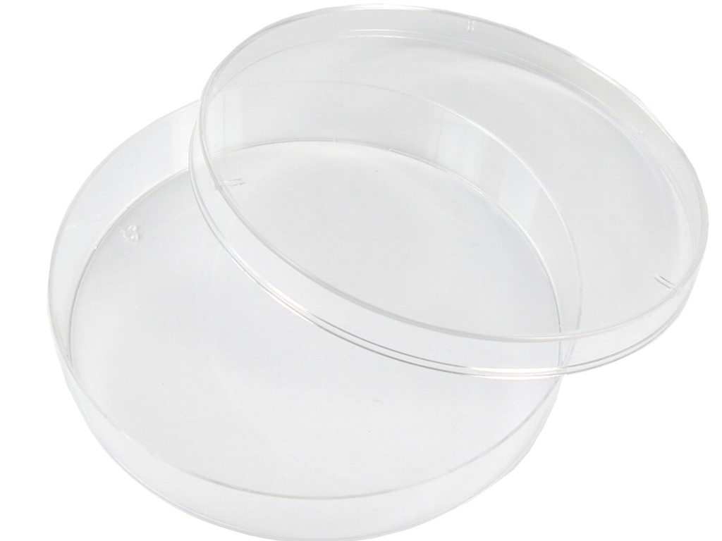 PS petri dish 40 x 15 mm