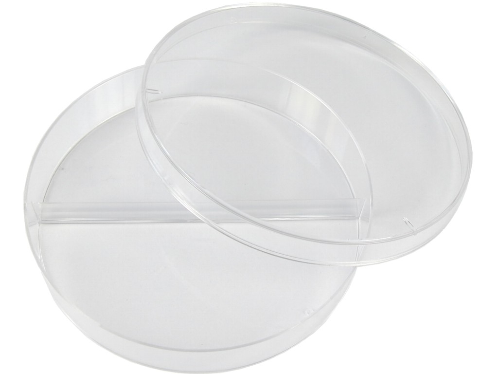 PS petri dish 94 x 16 mm divided into 2 parts