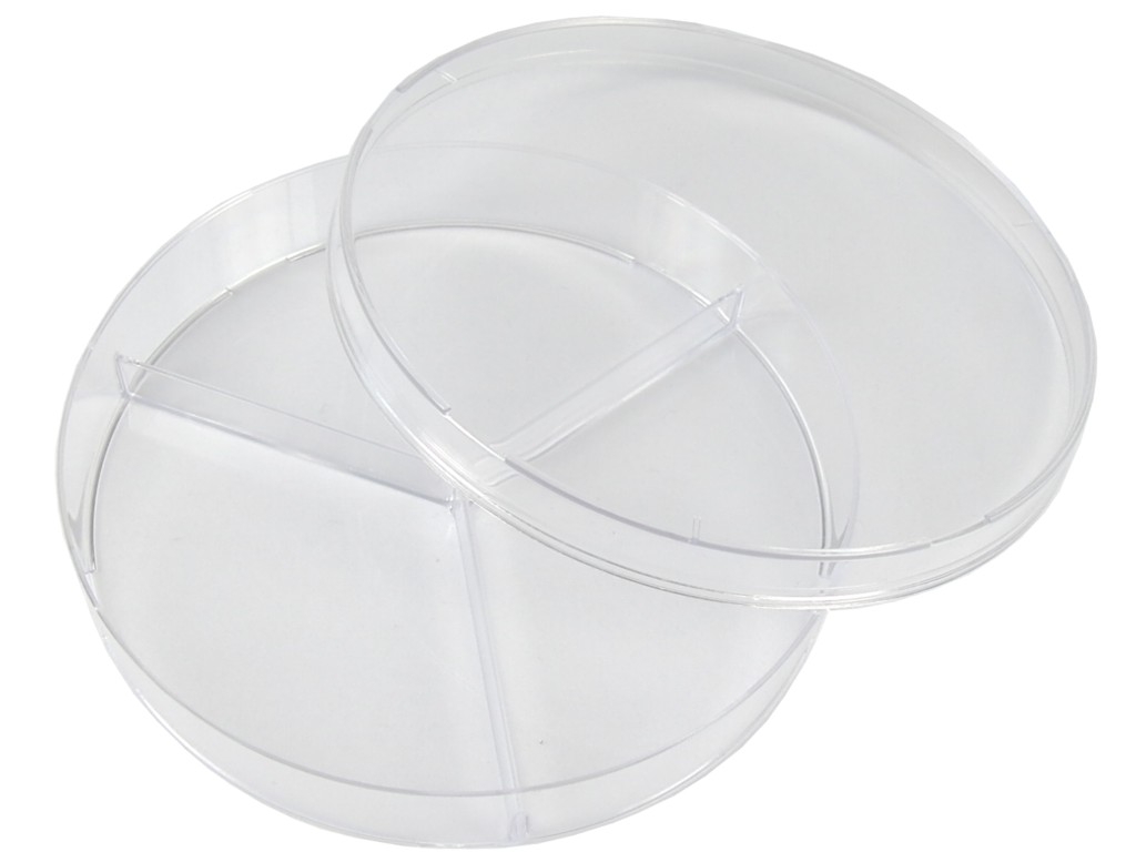 PS petri dish 94 x 16 mm divided into 3 parts