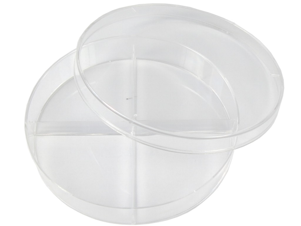 dish 95mm with 4 partitions
