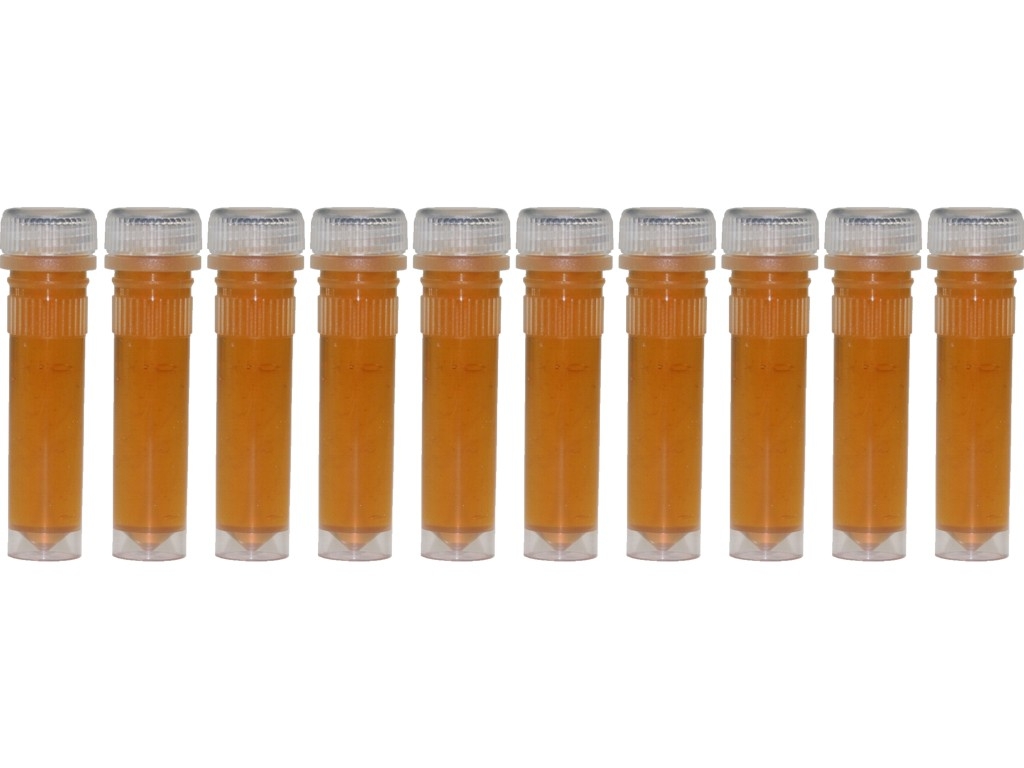 Desert honey in 2ml tubule