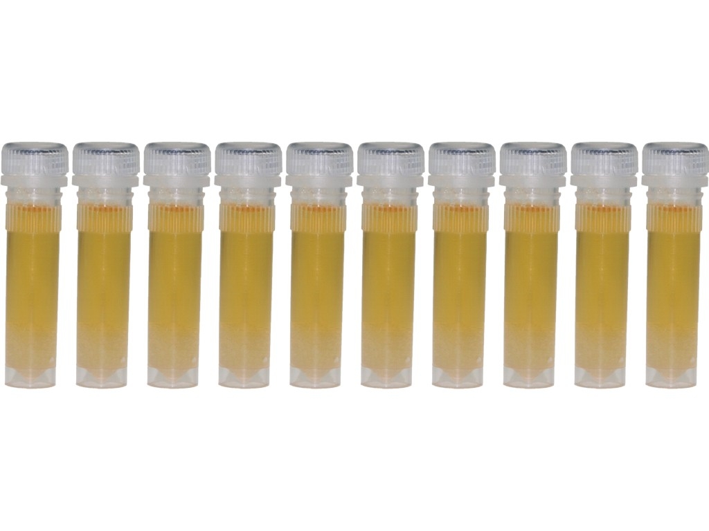 Wiesenhonig in 2ml Futterröhrchen Blütenhonig