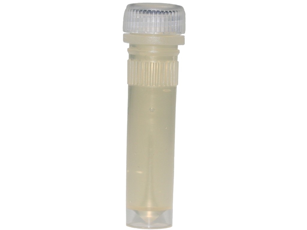 Wüstenhonig in 2ml Futterröhrchen - 10 St.